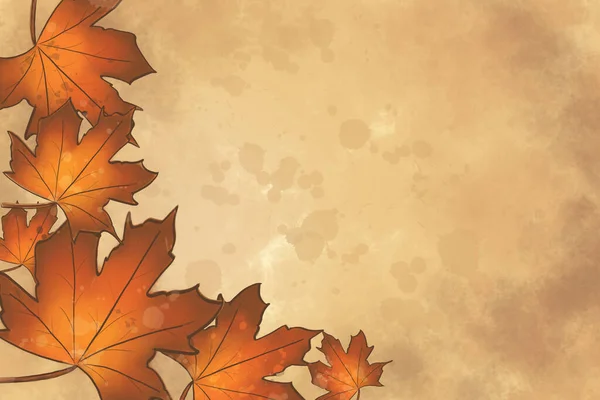 아름다운 다채롭고 마른 낙엽, 가을의 개념 — 스톡 사진