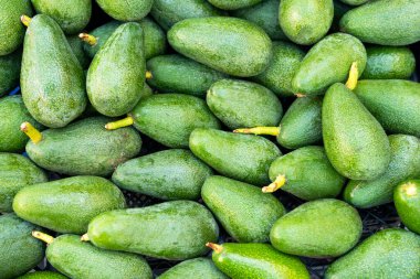 Çok lezzetli egzotik bir sebze yığını, Avacado.