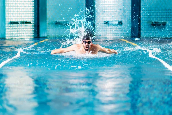 Nadador profesional haciendo ejercicio en piscina cubierta — Foto de Stock