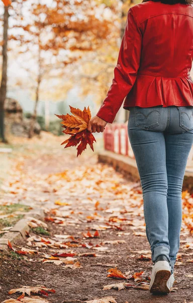 Joven mujer caminando en un camino en el bosque ordenando la temporada de otoño —  Fotos de Stock