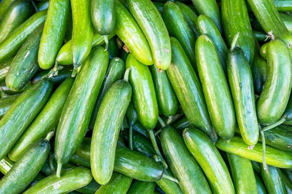 A pile of very delicious exotic vegetables, cucumber in a grocery. — Stock Photo, Image