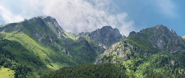 Panoramatický pohled na řadu hor a lesů s modrou oblohou a lehátky. — Stock fotografie