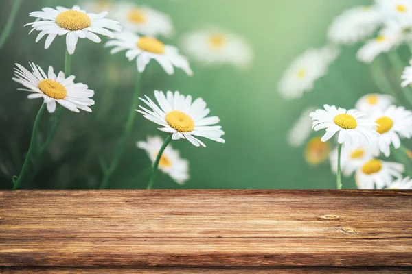 Piękne wiosenne tło z białymi kwiatami stokrotki i pusty drewniany stół w przyrodzie zewnątrz. Naturalny wzór ze światłem słonecznym. — Zdjęcie stockowe