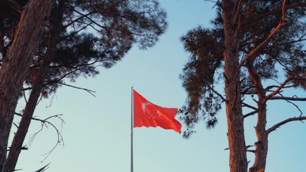 Mavi gökyüzü arkaplanındaki ağaçlar arasında dalgalanan Türk Bayrağının 4K videosu. — Stok video