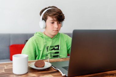 Genç çocuk dizüstü bilgisayarın önünde ders çalışıyor. E-öğrenme, evde online öğrenim.
