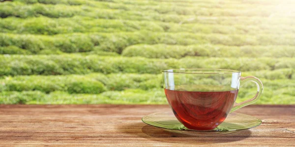 Illustration 3D d'une tasse de thé sur une table en bois marron avec fond de champ de thé vert naturel. Papier peint texturé . — Photo