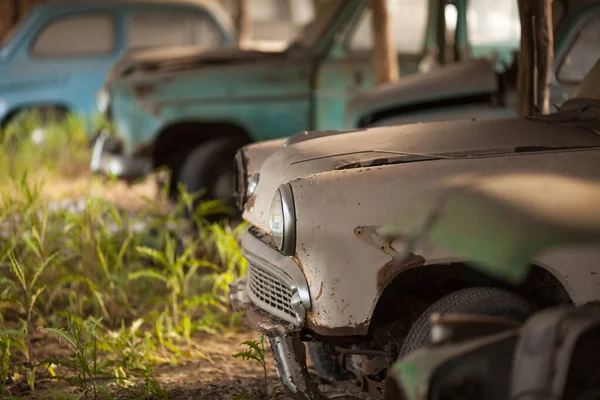 Hautausmaa, jossa on paljon vanhoja hylättyjä autoja — kuvapankkivalokuva