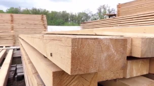 Fabrik für die Produktion von Holz, Holz und Brettern — Stockvideo