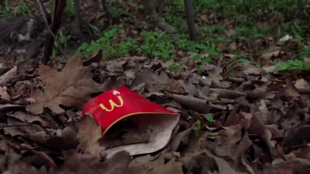 Imballaggio di McDonalds patatine fritte nel bosco. Mosca Russia maggio 20, 2020 — Video Stock