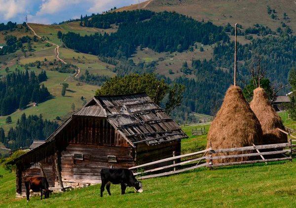 An old farmer's wooden house stands on an elephant mountain near a haystack against the backdrop of mountains — Stock Photo, Image