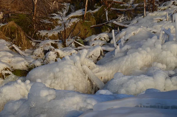 Huge ice icicles on old grass. Severe frost — Stock Photo, Image