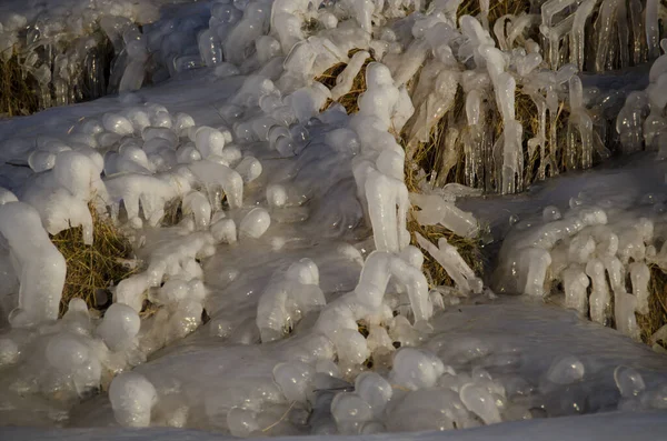 Riesige Eiszapfen auf altem Gras. Starker Frost — Stockfoto