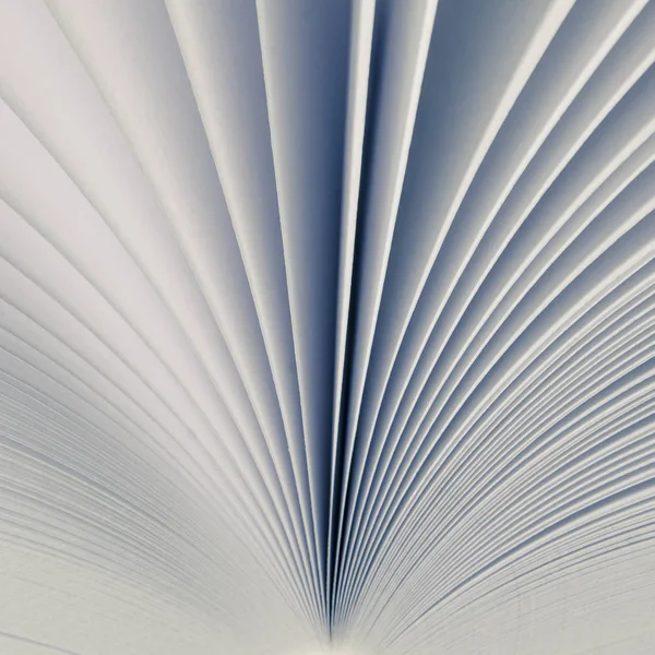 흐릿 해졌다. 흰색열린 책의 하얀 면을 배경으로 한 가벼운 배경 — 스톡 사진