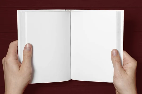 Las manos de los hombres sostienen un libro blanco con páginas limpias —  Fotos de Stock
