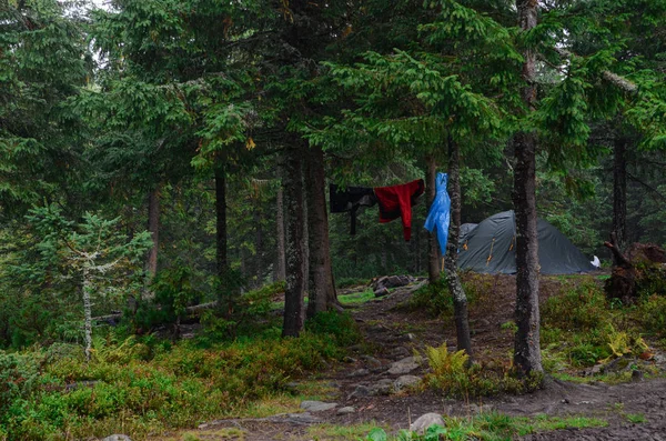 W ciemnym lesie stoi namiot turystyczny i obok suche kurtki po nocy ulewy — Zdjęcie stockowe