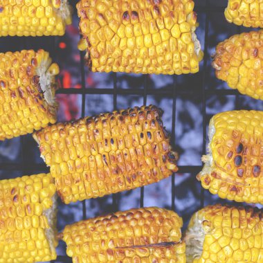 Izgarada kızartılmış mısır.