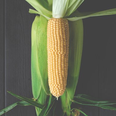 Siyah bir ağaç masada yeşil yaprakları ile sarı sulu mısır