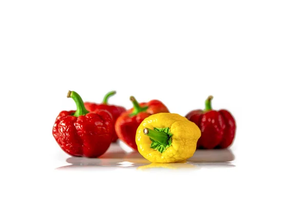 Textured multicolored peppers with green tails lie on a white background — Stock Photo, Image