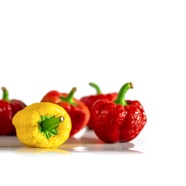 Textured multicolored peppers with green tails lie on a white background — Stock Photo, Image