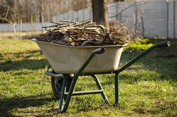 Bahçe işi. Genç ağaçların budama dalları bahar bahçesinde duran bir el arabası, yalan