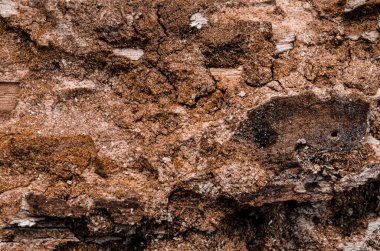 Eski çürük ahşaptan yapılmış desenli doğal ahşap arka plan