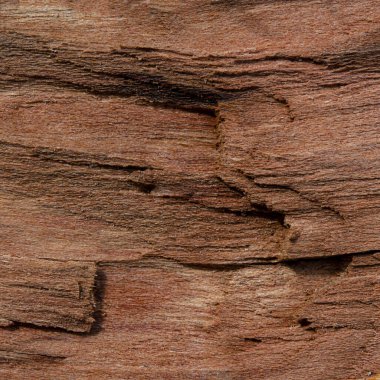 Eski çürük ahşaptan yapılmış desenli doğal ahşap arka plan