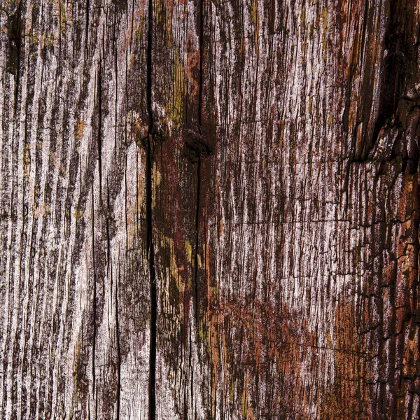 Texturerat Naturligt Trä Bakgrund Gjord Gammalt Ruttet Trä — Stockfoto