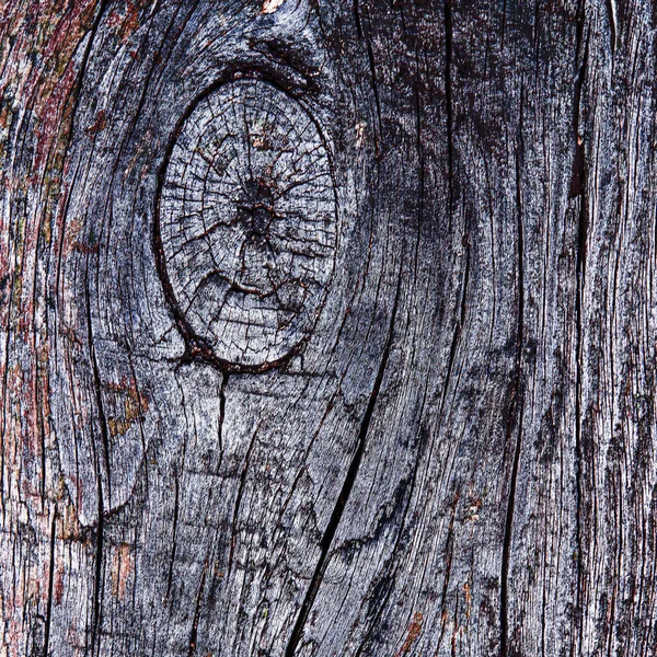 Фактурний Фон Натурального Дерева Старої Гнилої Деревини — стокове фото