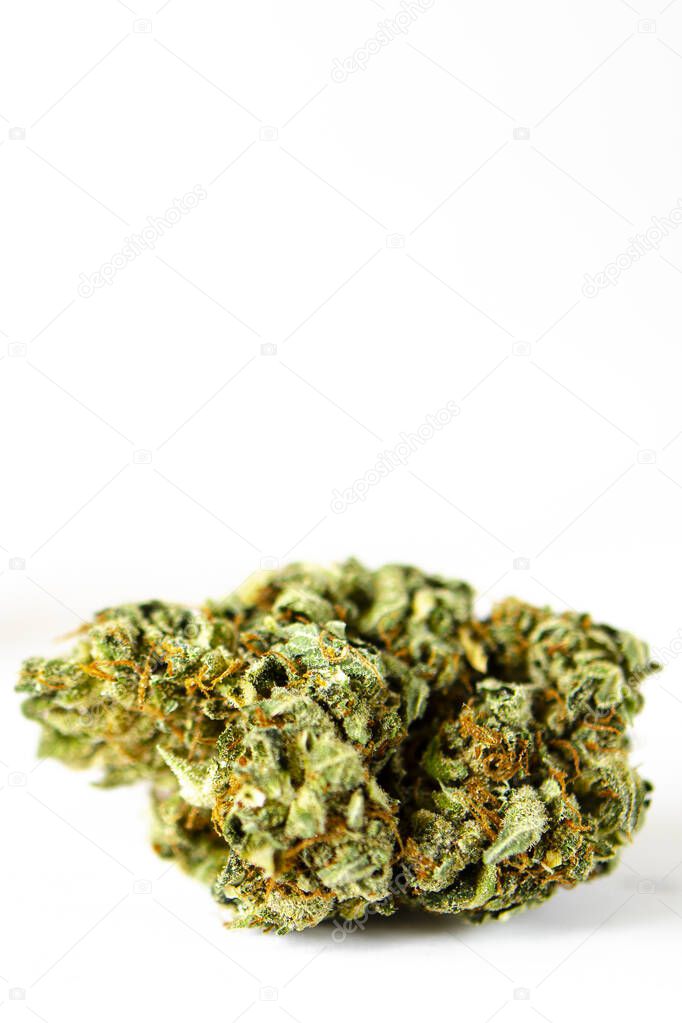 Cannabis flour, flowers and seeds. Medical Marijuana