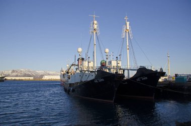 11 Mart 2014 - Reykjavik 'teki Liman ve Atlantik Okyanusu kıyısı