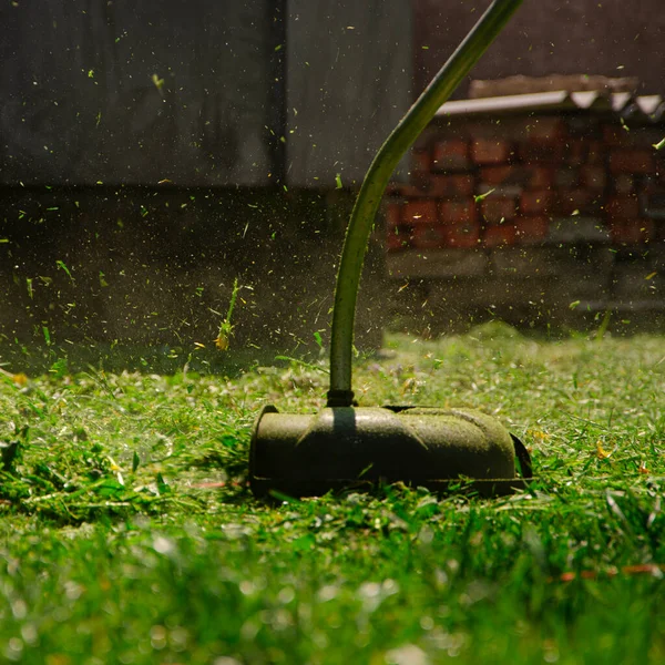 Ein Mann mäht einen frühlingsgrünen Rasen mit Löwenzahn im Garten — Stockfoto