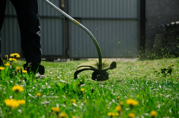 Man Mows Spring Green Lawn Dandelions Garden Garden Works — Stock Photo, Image