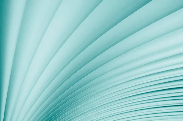 Bulanık. Kitap sayfalarının Macro görünümü. Ton halinde. Açık kitap. Yakın plan.