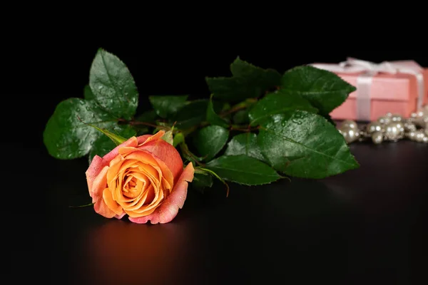 Ein Foto einer Rose in einem leisen Ton. — Stockfoto