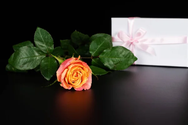 Uma fotografia de uma rosa em uma chave baixa . — Fotografia de Stock