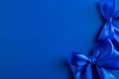 Fotoğrafın sağ alt kısmında mavi arkaplanda mavi saten kurdeleden yapılmış iki fiyonk var..