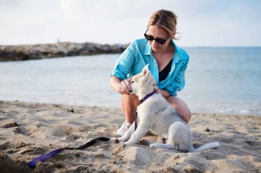 Sahilde sahibinin ellerinde tutulan küçük, açık gri bir köpek yavrusu. Genç bir kadın, turkuaz bluz, kot şort ve beyaz spor ayakkabı giyiyor, köpeğinin ağzını tutuyor,.