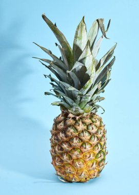 Açık mavi arkaplanda izole edilmiş ananas meyvesi.