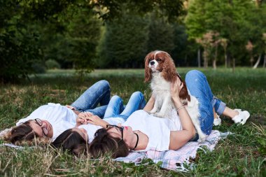 İki genç sarışın kadın ve beyaz tişörtler giyen esmer bir kız parkta yeşil çimlerin üzerinde Meksika battaniyesine uzanmış, süvari kral Charles Spanel 'i tutuyor, gülümsüyor, gülüyor. Yazın piknik.