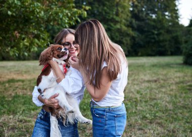 İki genç sarışın kadın, beyaz tişörtler giyiyorlar, yazın parkta küçük beyaz ve kahverengi bir köpek tutuyorlar, gülümsüyorlar. Şövalye Kral Charles Spaniel sahipleriyle yürüyüşe çıktı..