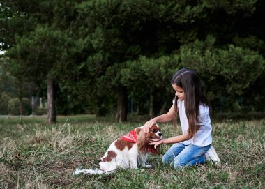 Cavalier kralı Charles Spaniel ile birlikte küçük esmer kız, yazın parkta antrenman yapıyor. Kızım, kot pantolon ve beyaz tişört giyiyor, küçük köpekle oynuyor..