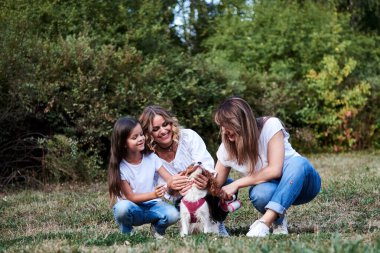 İki genç sarışın kadın ve bir esmer kız, günlük kıyafetler giyiyorlar, parkta yeşil çimlerin üzerinde diz çöküyorlar, süvari kral Charles Spanel 'i tutuyorlar, gülümsüyorlar, gülüyorlar. Ormanda küçük bir köpekle aile yürüyüşü.
