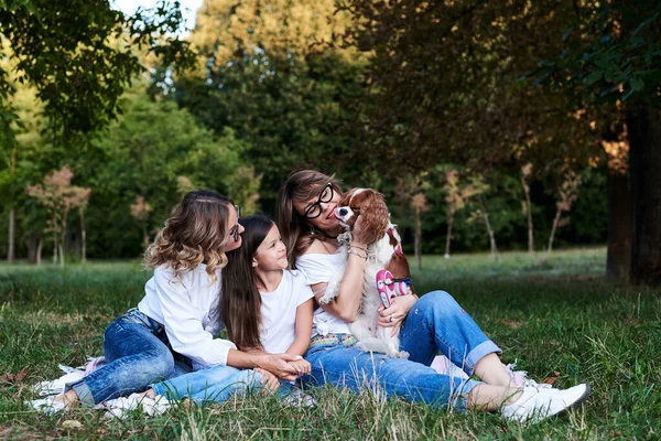 Due Giovani Donne Bionde Una Ragazza Bruna Con Jeans Magliette — Foto Stock