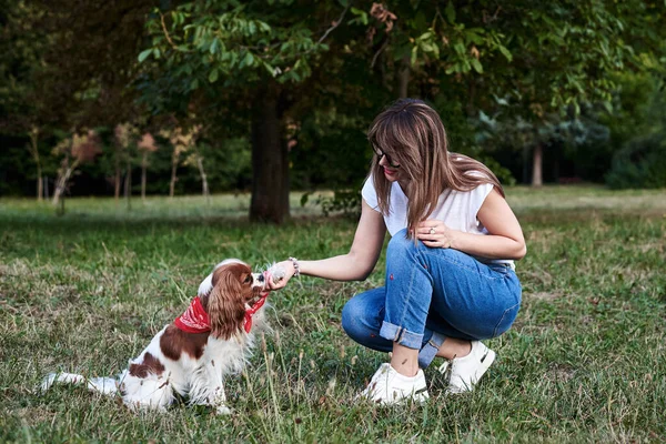 Young Blond Woman Kneeling Holding Her Dog Paw Park Summer — Stock Photo, Image