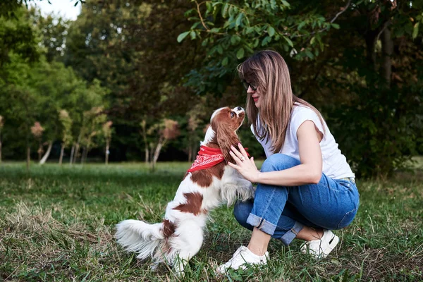 Young Blond Woman Cavalier King Charles Spaniel Training Park Summer — Stock Photo, Image