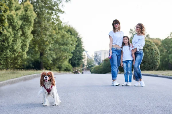 Three Young Girls Wearing Blue Jeans White Shirts Walking Small — Stock Photo, Image