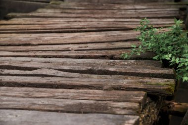 Yan tarafında yeşil bitkiler olan eski ahşap köprünün yakın çekimi. Kırsal kesimde antik tahta kaldırım.