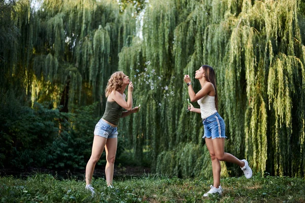 Dos Hermanas Haciendo Burbujas Jabón Parque Verano Chicas Guapas Jóvenes — Foto de Stock
