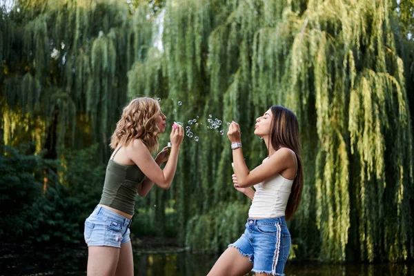 Zwei Schwestern Die Sich Park Mit Seifenblasen Bepusten Lachend Lächelnd — Stockfoto