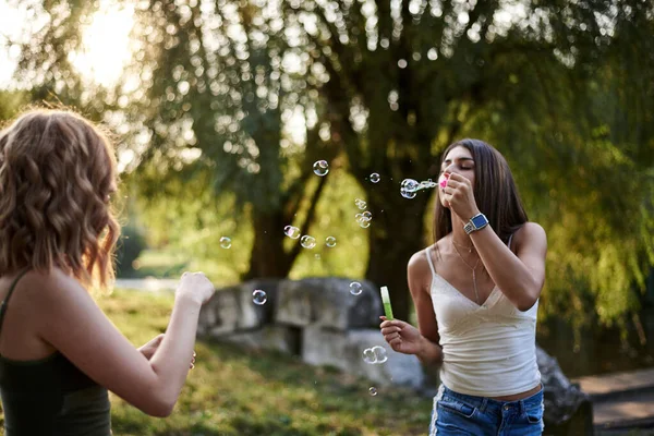 Due Sorelle Che Succhiano Bolle Sapone Nel Parco Ridono Sorridono — Foto Stock